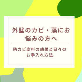 外壁に発生するカビや藻の原因と高圧洗浄・塗装による解決策を紹介するバナー画像